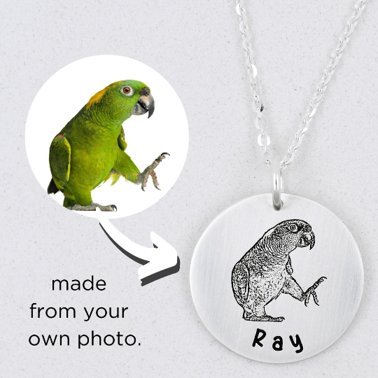 Pet Portrait Necklace - Custom Engraving